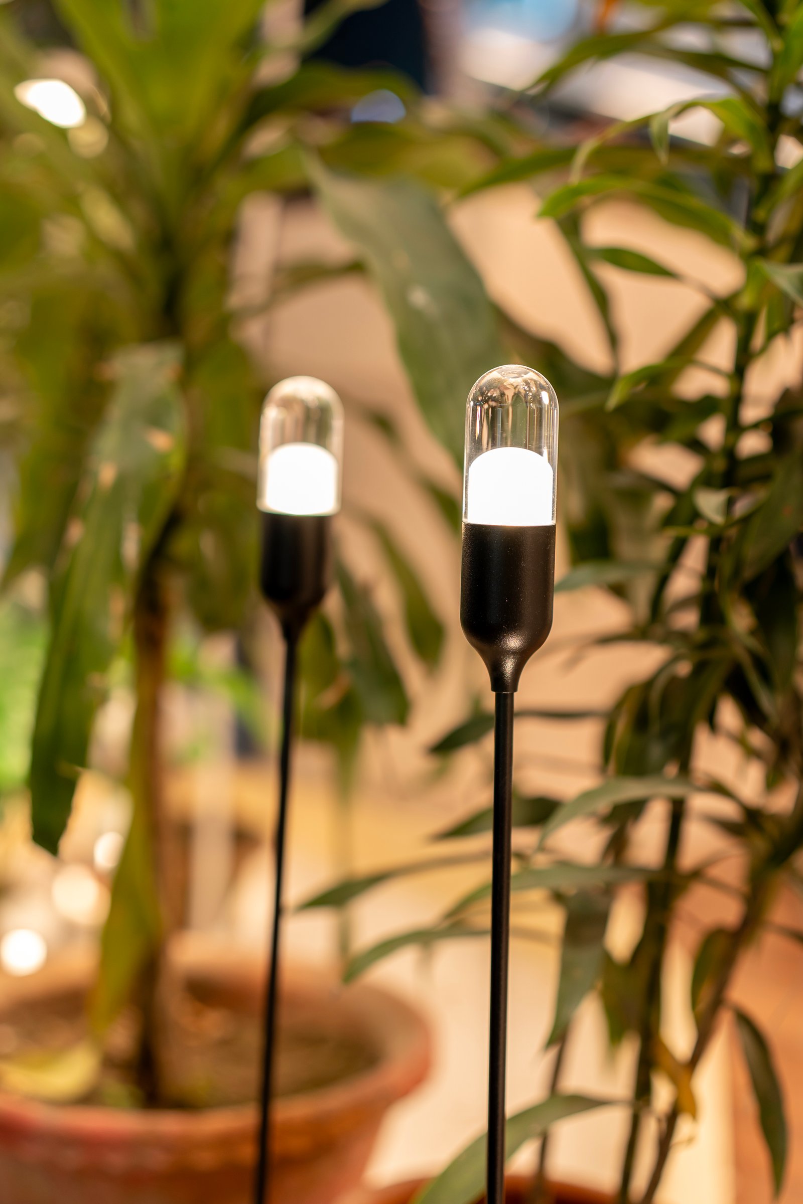 Decorative Light — SBN7479