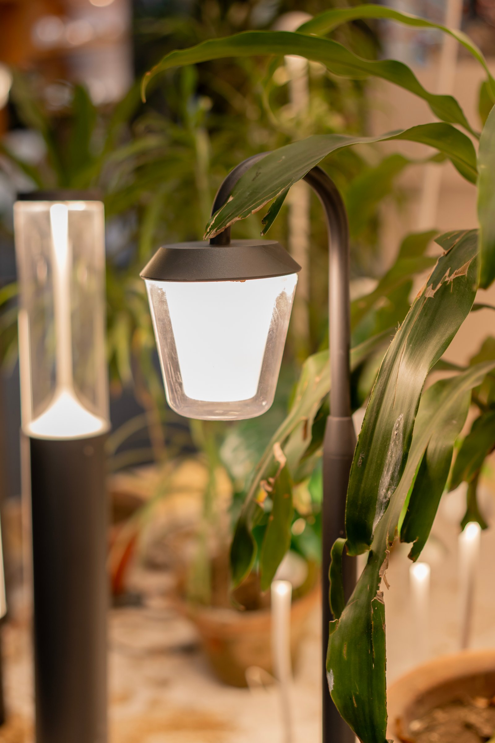 Decorative Light — SBN7480