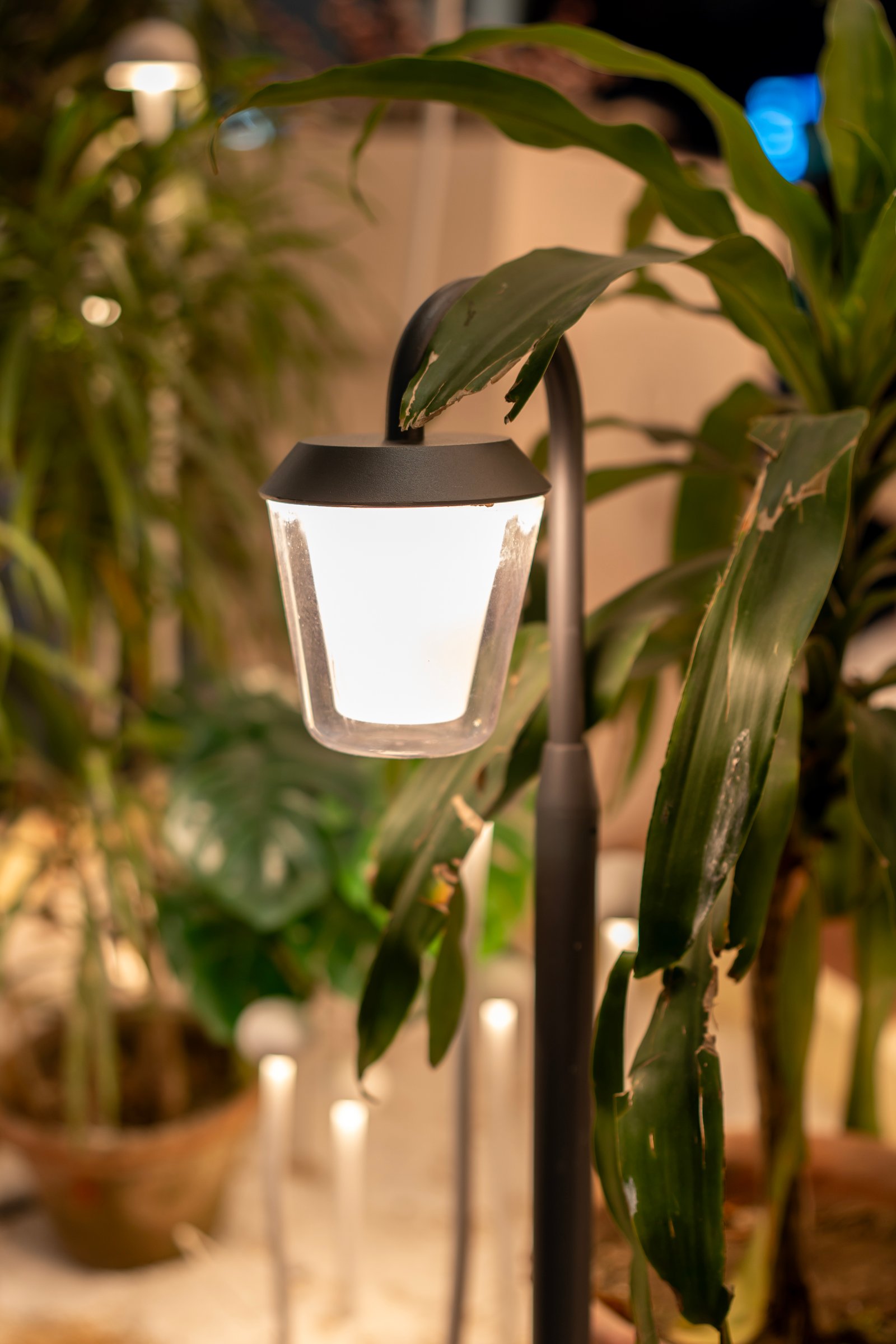 Decorative Light — SBN7481