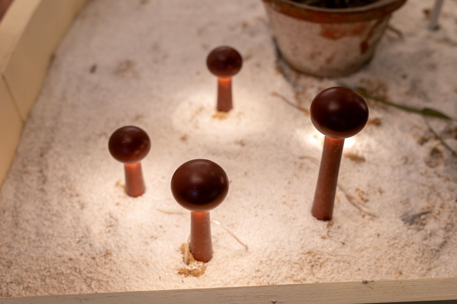 Decorative Light — SBN7489