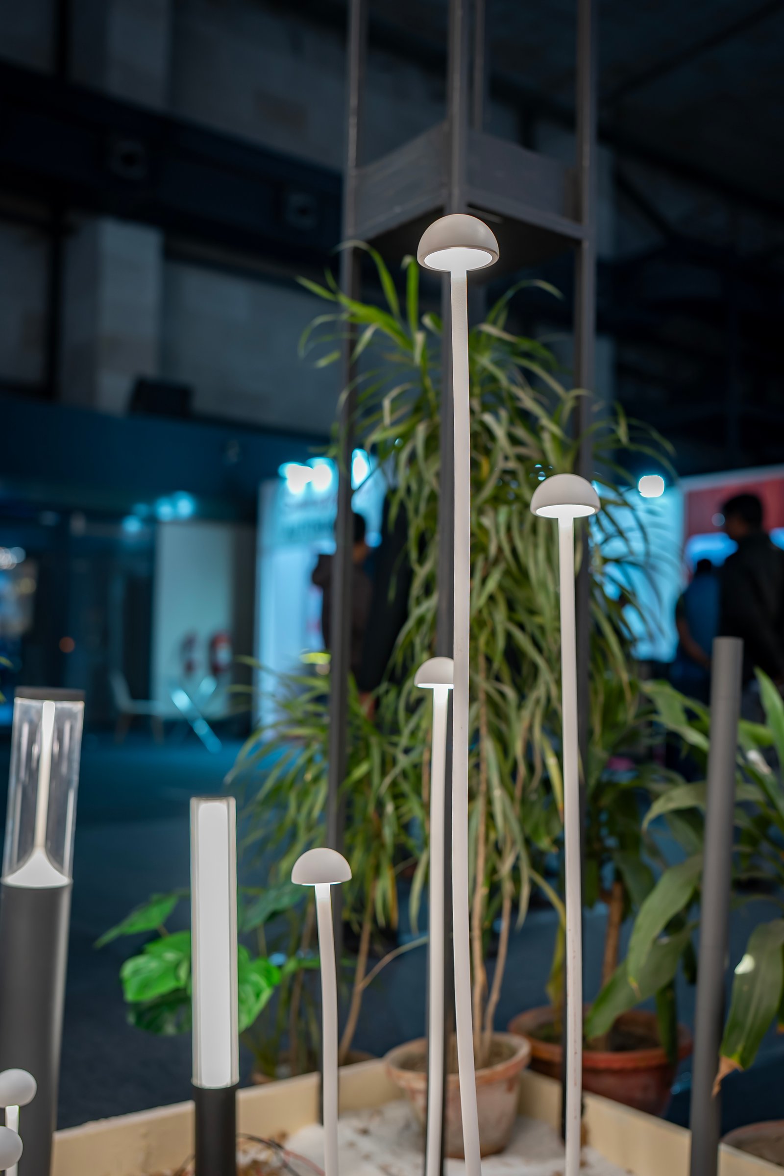 Bollard Light — SBN8771
